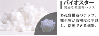 バイオスター画像