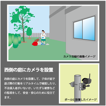 庭の拡大映像