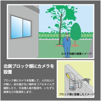 裏庭の拡大映像