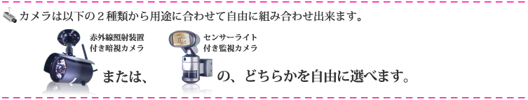 ２種類の監視カメラから選べます。