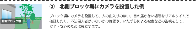 裏庭のカメラ